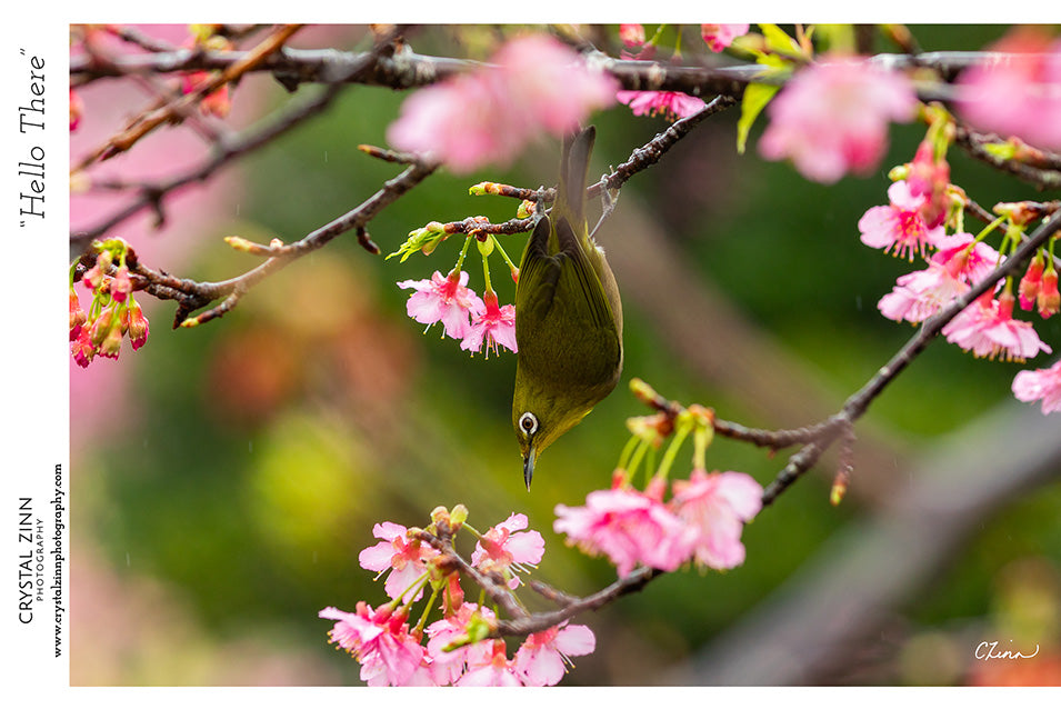 "Hello There" Metal Artwork