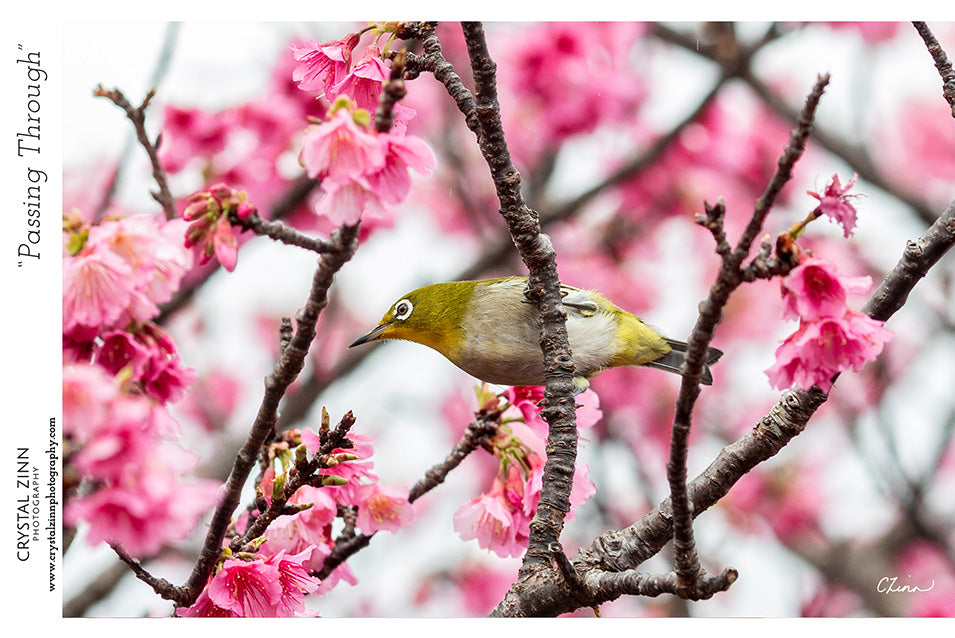 "Passing Through" Metal Artwork