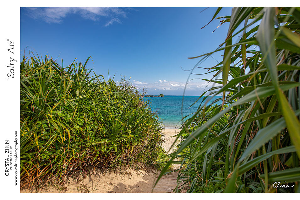 "Salty Air" Metal Artwork