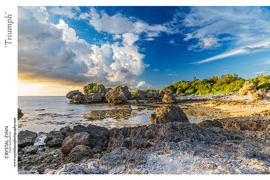 "Triumph" Metal Artwork