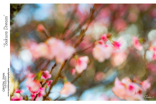 "Sakura Dream" Metal Artwork